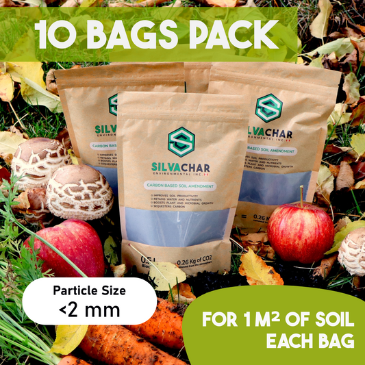 10 PACK Biochar Bags - Perfect for house plants and small gardens.