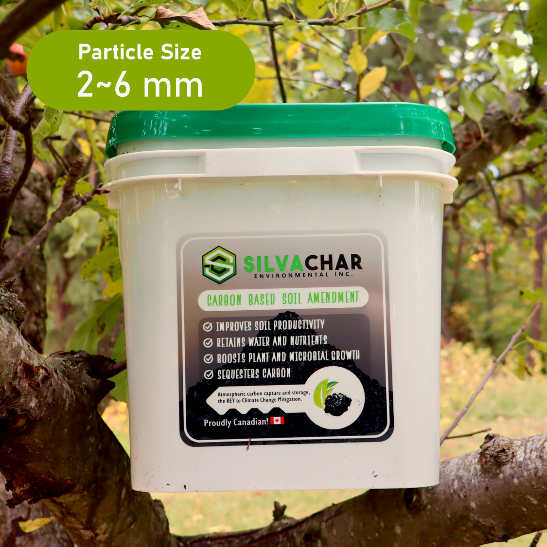 Coarse Biochar 10L bucket 2–6 mm for clay soil and gardens by SilvaChar
