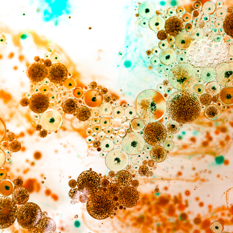 Porous biochar supporting beneficial soil microbes