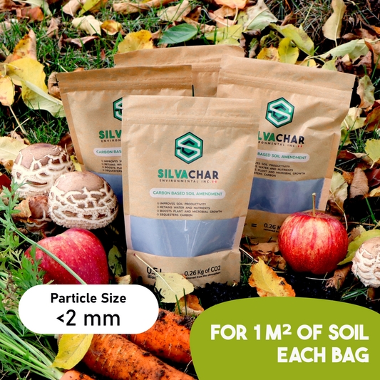 0.5L Biochar Bag for house plants