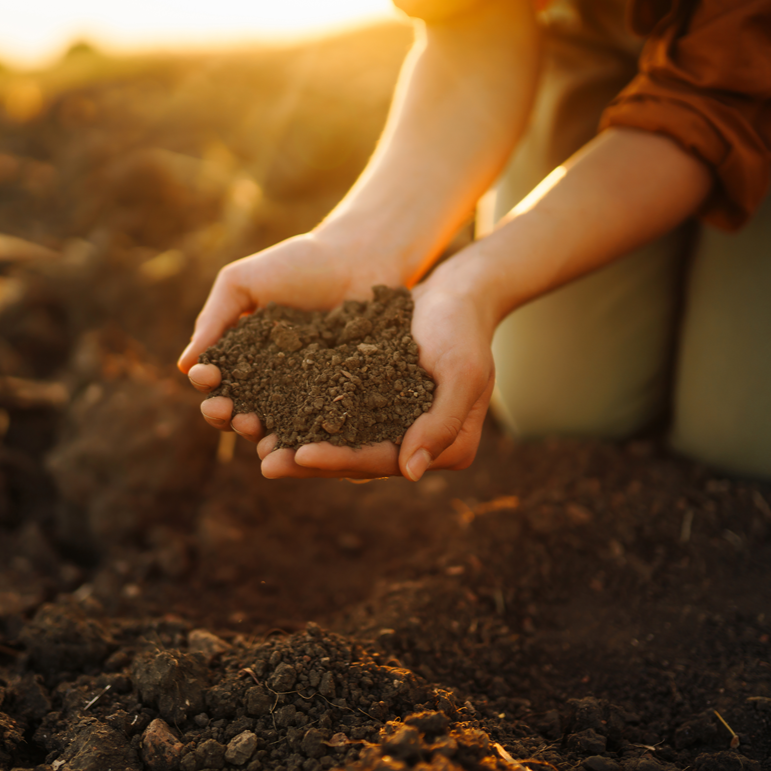 Biochar improving soil